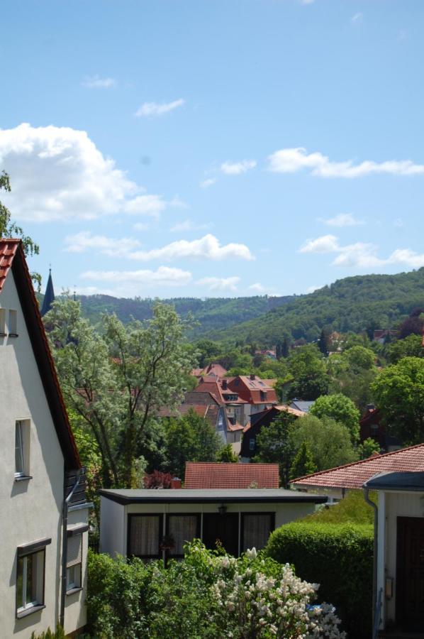 Ferienwohnung Hertha Wernigerode Bagian luar foto